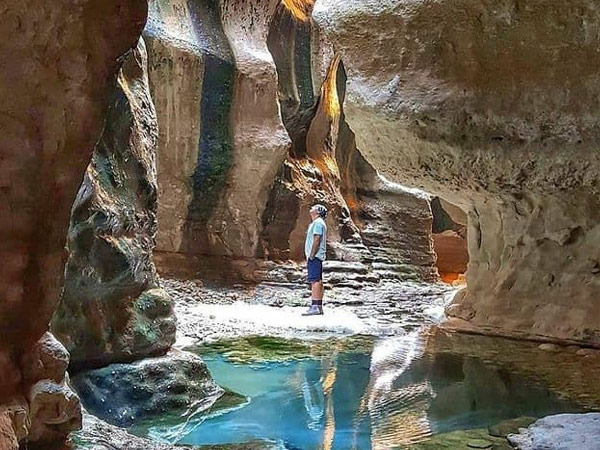 تور پارسیان